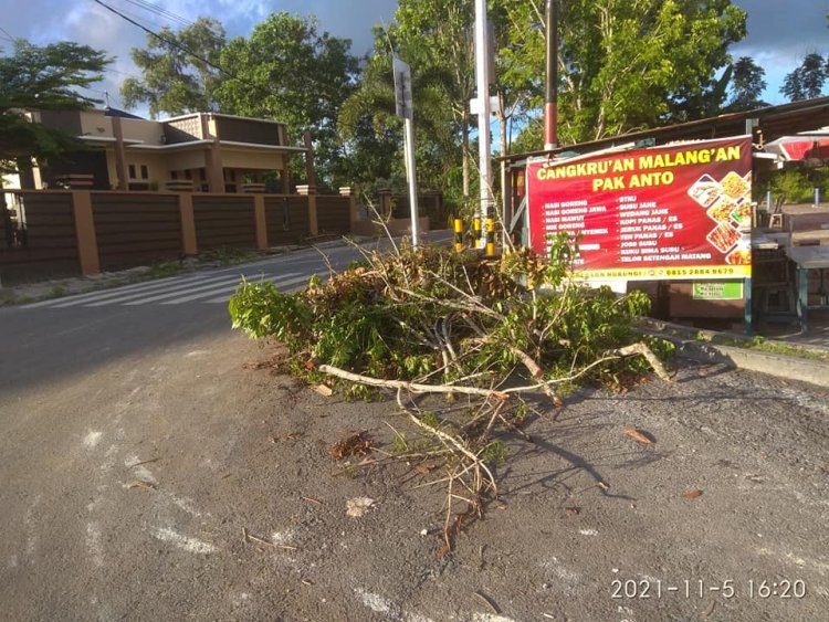 Traffic Light Simpang 4 Samari ,dikeluhkan oleh warga net